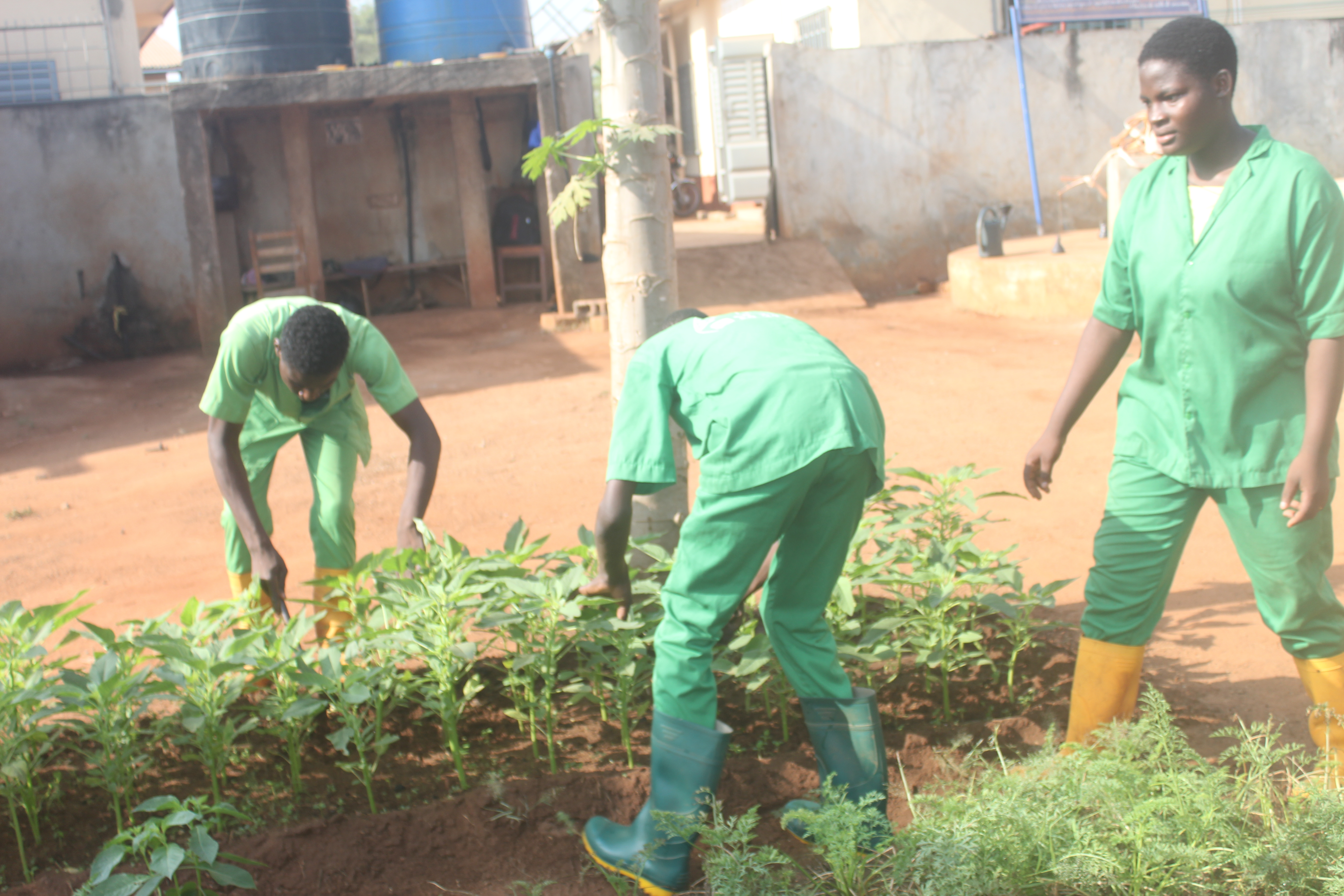 Agriculture Biologique et Elevage